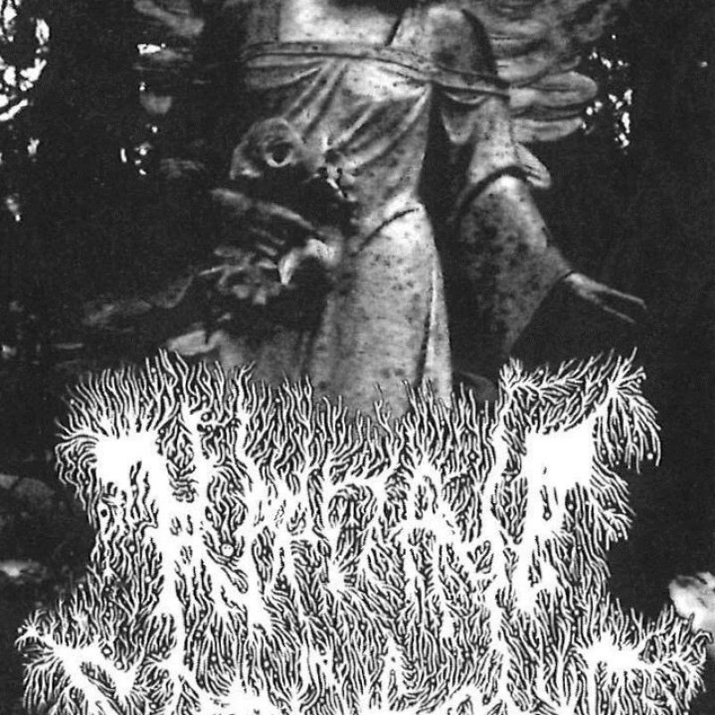 HER NAME IN A CEMETERY: Seattle Atmospheric/Depressive Black Metal Project To Release Limited Three-Song Cassette Via Stench Ov Death; New Track Streaming