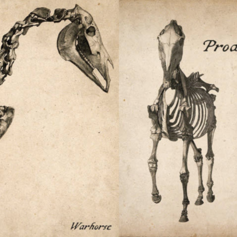 Prodigium - Self Titled LP - Reviewed By Necromance!
