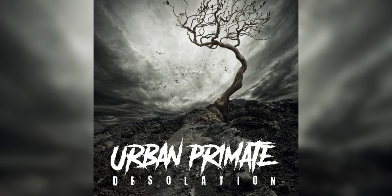 Urban Primate - Belong - Featured At The Island Radio!