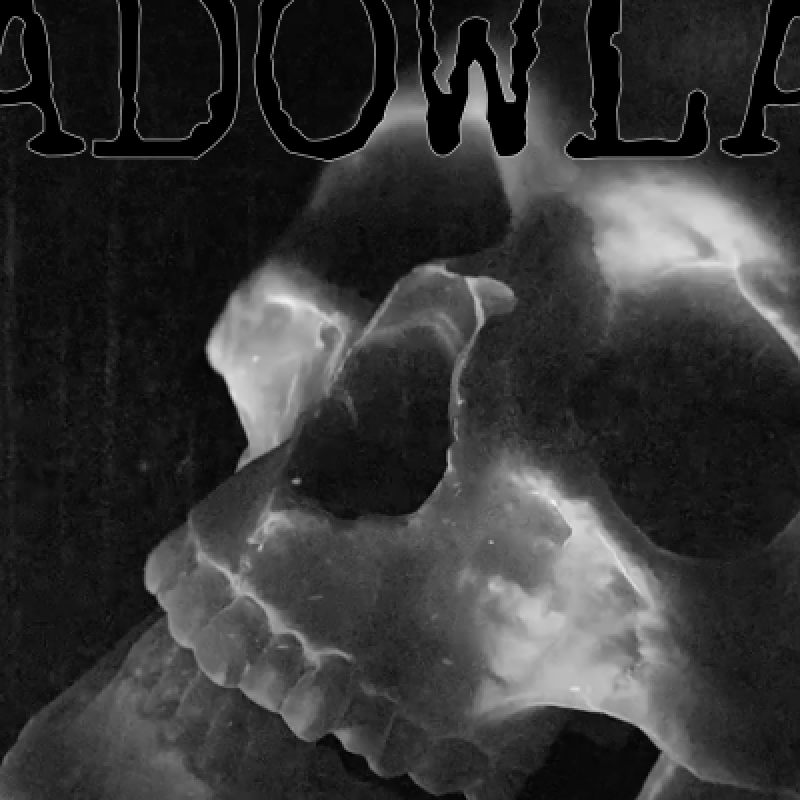 Brooke Burgess - SHADOWLAND - Featured At Pete's Rock News And Views!