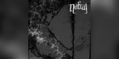Nafrat (Singapore) - 'Veins' - EP - Featured At Pete's Rock News And Views!