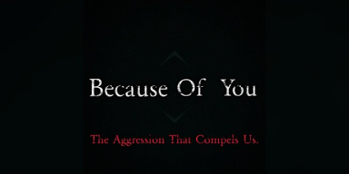 New Promo: TheLoopHoleConspiracy (USA) - Because of You: The Aggression That Compels Us - (Metal)