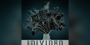 New Single: I The Divided - Dissolutions - (Prog Metalcore / Djent / Nu metal)