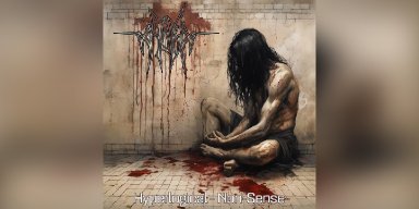 New Promo: AYDRA: "Hyperlogical Non-Sense" Reissue Incoming from Rude Awakening Records! 