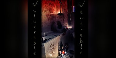 New Promo: B.o.Gora Presents Latest Single "Vulnerable, Venerable" (Nu Metal)