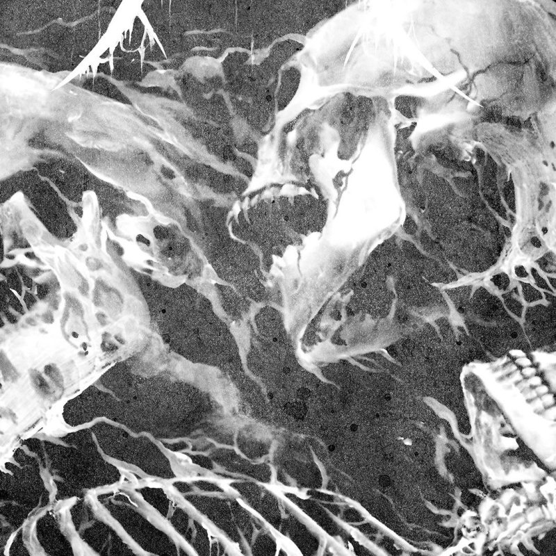 ARSIS discusses "Visitant" album artwork in new trailer