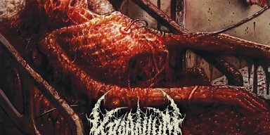 Kraanium - Slamchosis [slamming brutal death metal from Comatose Music]