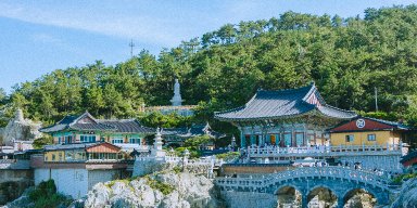 Inje Office: Exploring the Potential of Gangwon Province’s Natural Gem