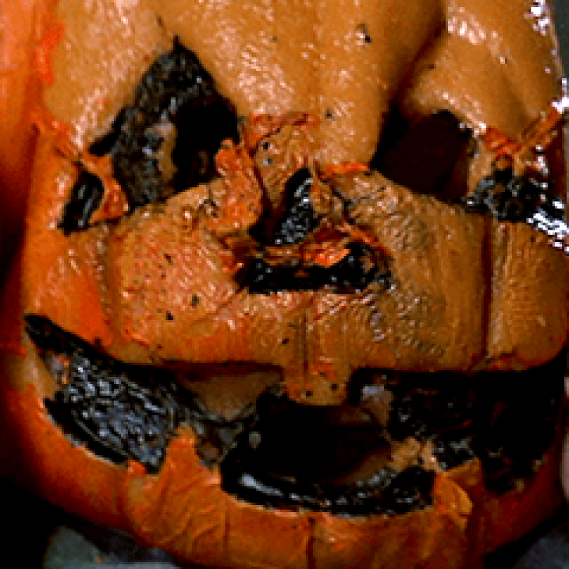 Revisiting HALLOWEEN III, Unmasking HALLOWEEN (1978) & more