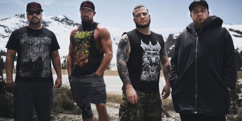 WURM FLESH RETURNS WITH “TERATOGENIC MALFORMATION” — A NEW CHAPTER IN PURE BRUTALITY
