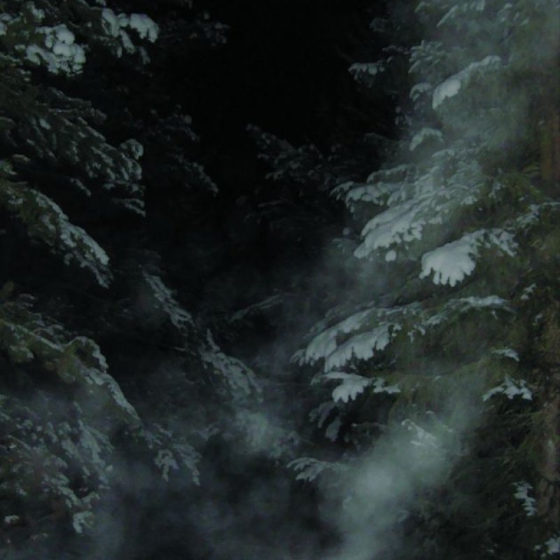 NEBULAR CARCOMA announces new releases from AIWĪGAZ UN&ETH;ERGANGAZ and HEDENGANG