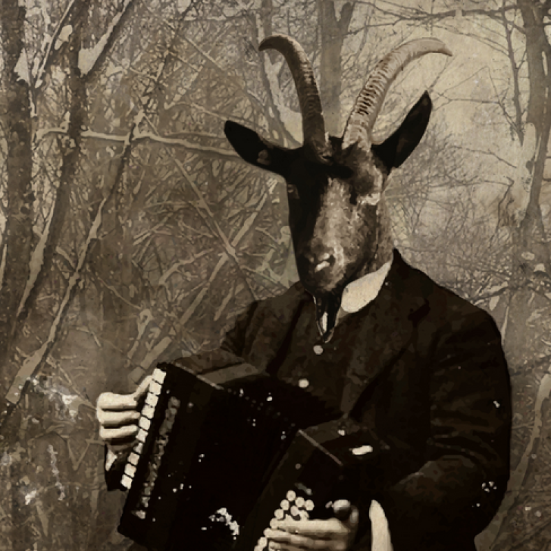elvans are one of the most interesting bands that helped giving new life to black metal in Italy in the &lsquo;10s.