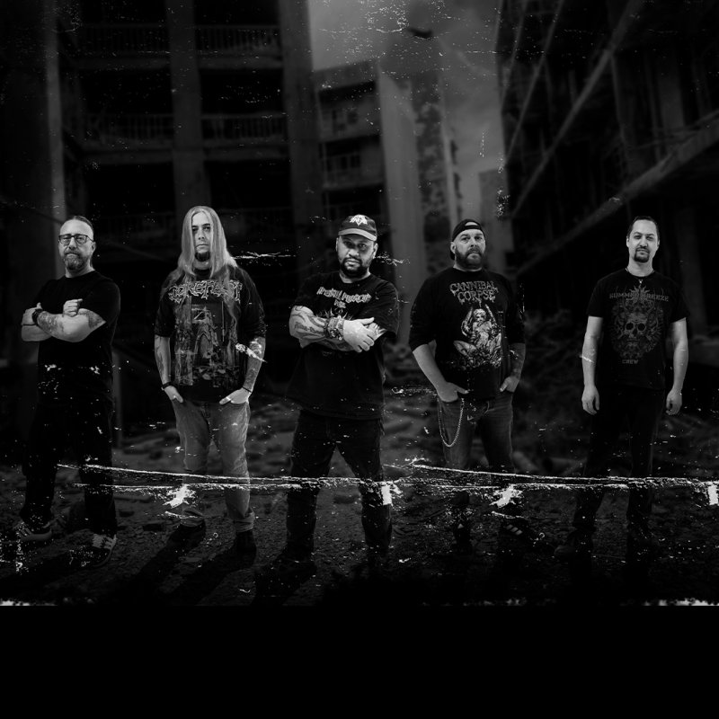 ROTTING EMPIRE Unleash Re-Recorded Classic &ldquo;Images Of War&rdquo; &ndash; New Single & Video Out March 29, 2026