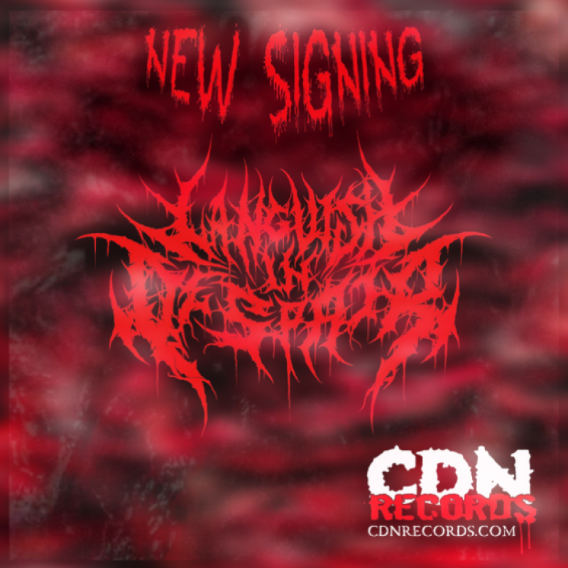 LANGUISH IN DESPAIR DROP &ldquo;KILLING SPREE&rdquo; OUT NOW AND ANNOUNCE NEW ALBUM STRAIN OF PROFANITY