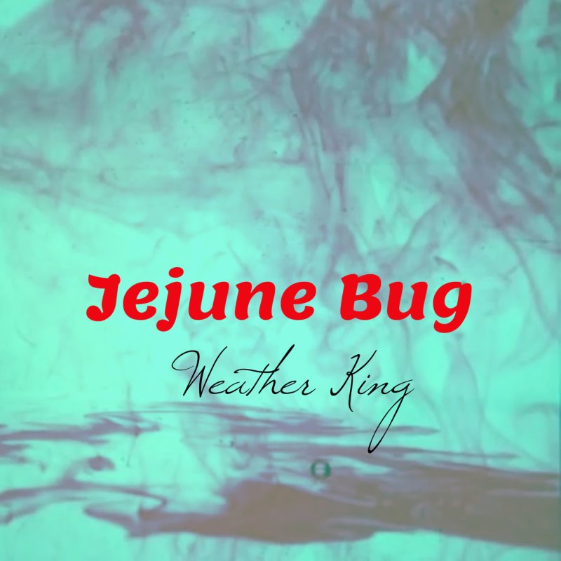 Alternative Rock Band Weather King Releases Single "Jejune Bug" November 9, 2018