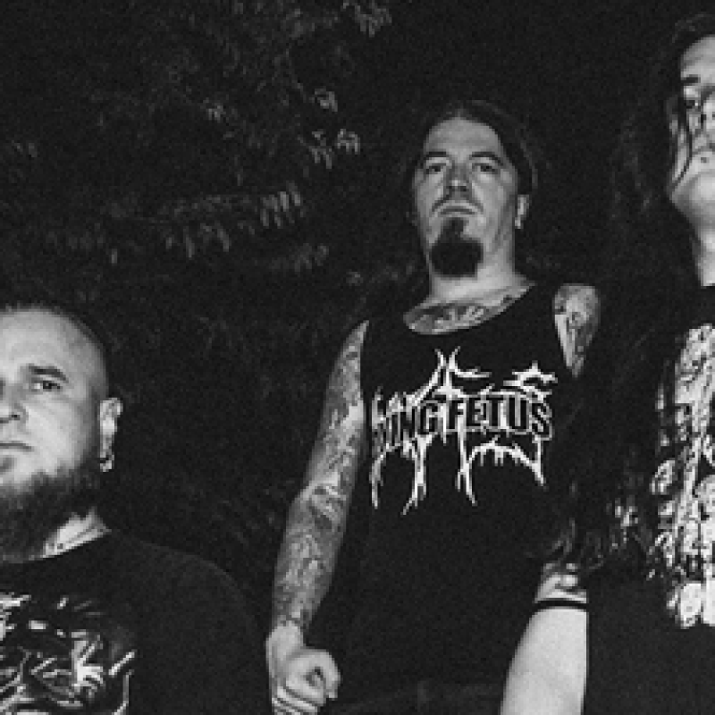 Romanian Brutal Death Metallers MALPRAXIS unleash new video