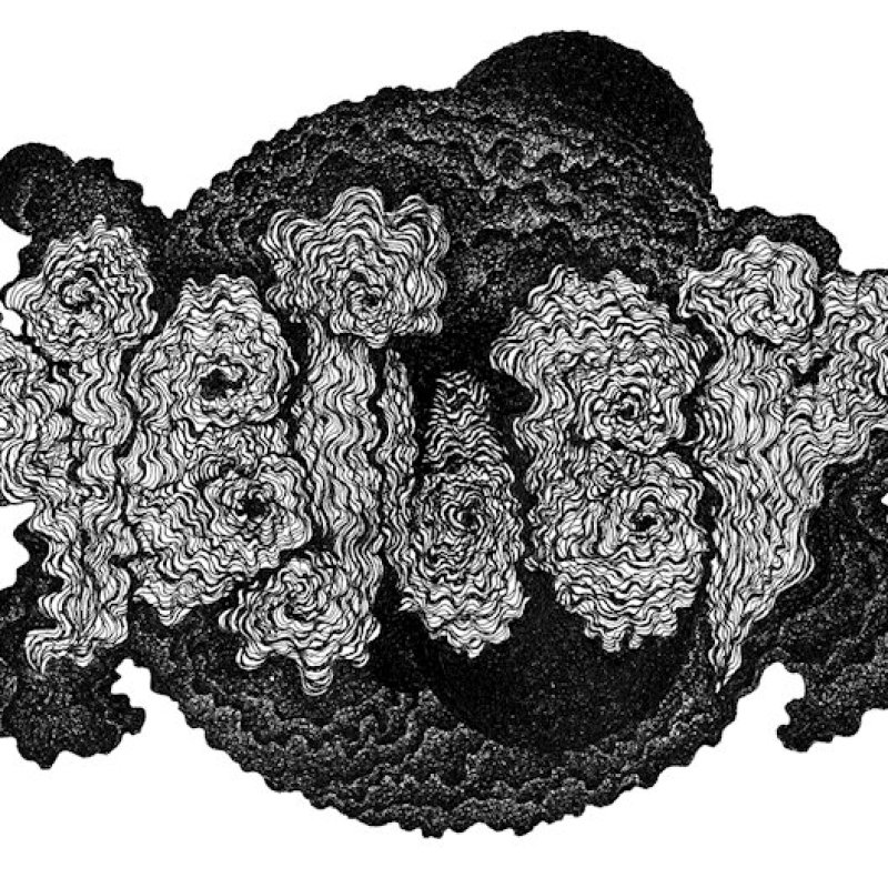 INTO ENDLESS CHAOS RECORDS is proud to present the striking debut album of Germany's VEILED, In Blinding Presence