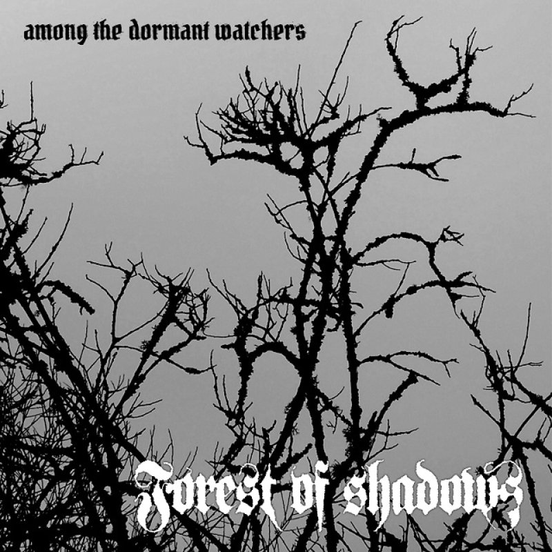 Swedish Forest of Shadows return after almost 10 years of silence! 