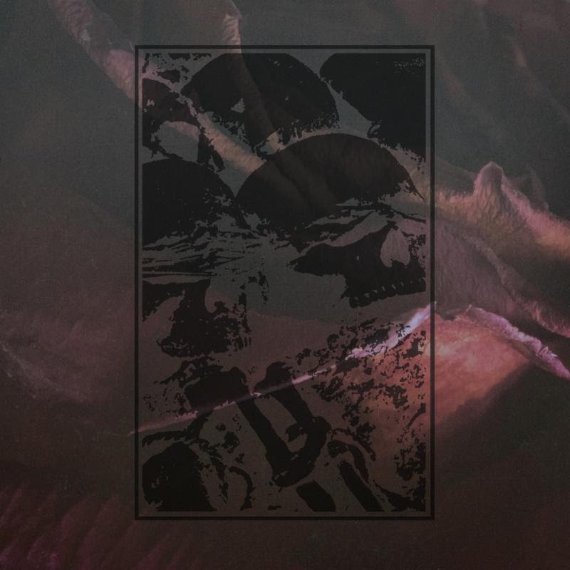 DEAD TO A DYING WORLD: Deluxe 2xLP Re-Envisioning Of Debut Featuring Previously-Unreleased Leonard Cohen Cover Out Friday Via Tofu Carnage Records