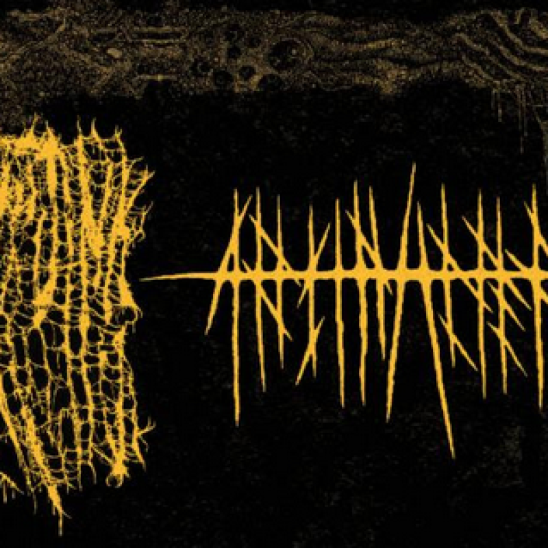 HISSING: Seattle Harsh Metal Trio Announces West Coast Tour In Support Of Profound Lore-Released Permanent Destitution LP 