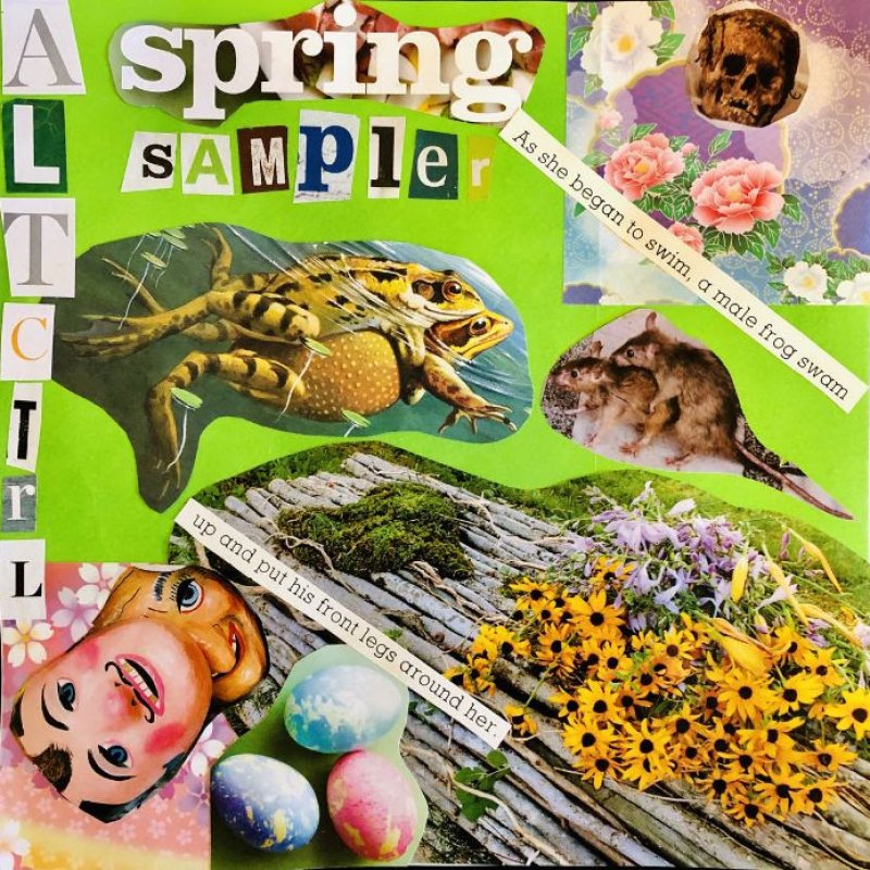 Alternative Control Releases Spring Sampler