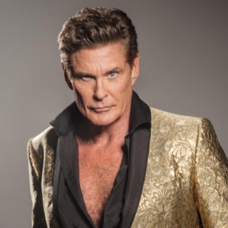 HASSELHOFF GOES METAL?