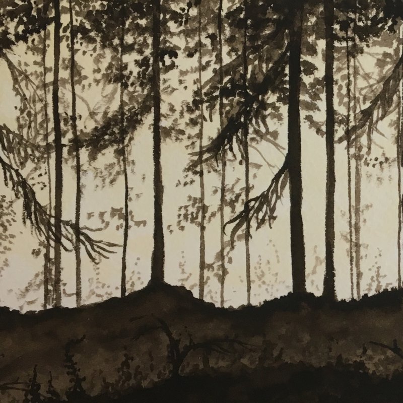 &Ouml;RNATORPET sets release date for new NORDVIS album