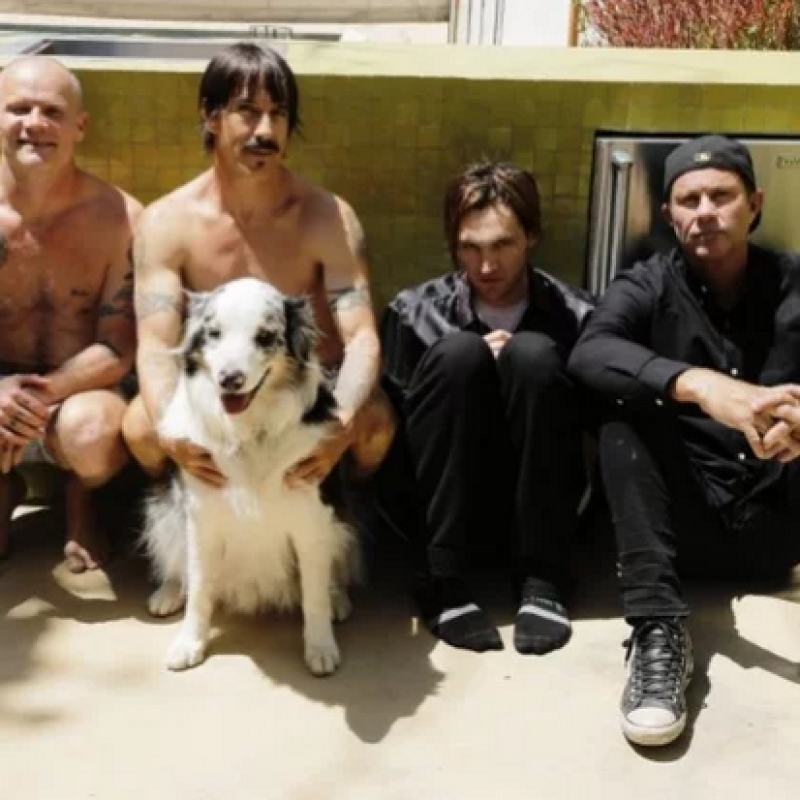 RHCP: KLINGHOFFER OUT, FRUSCIANTE BACK IN