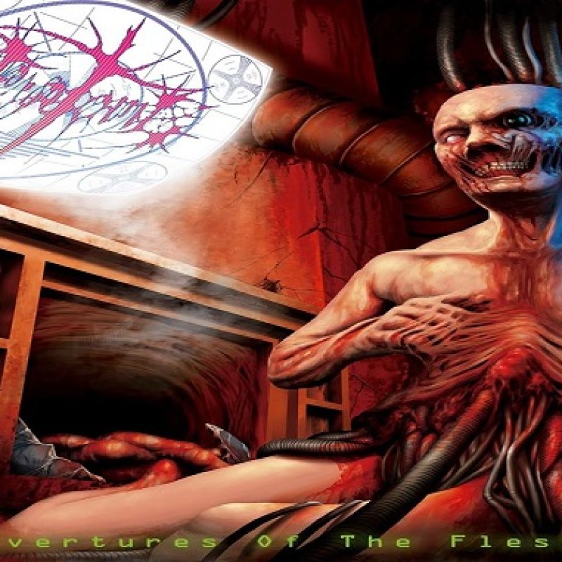 Teratoma Wins Battle Of The bands This Week On MDR!