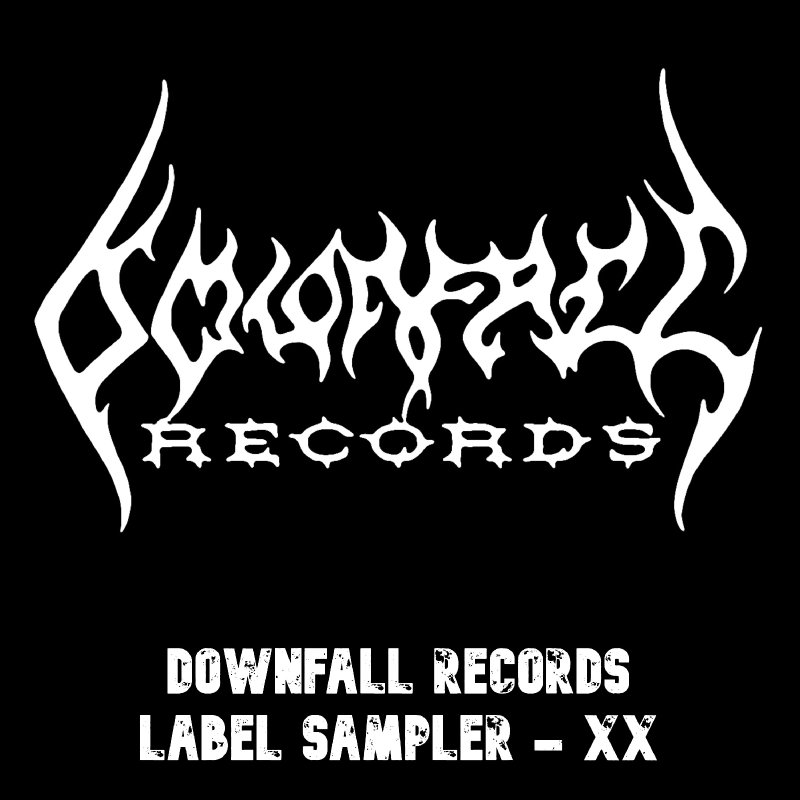 -27 songs/bands Downfall Records album sampler 1999-2019 - XX!