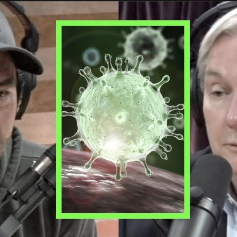 Rogan Interviews Expert On Covid-19 'Michael Osterholm', Who Sheds Some Positive light on The Situation