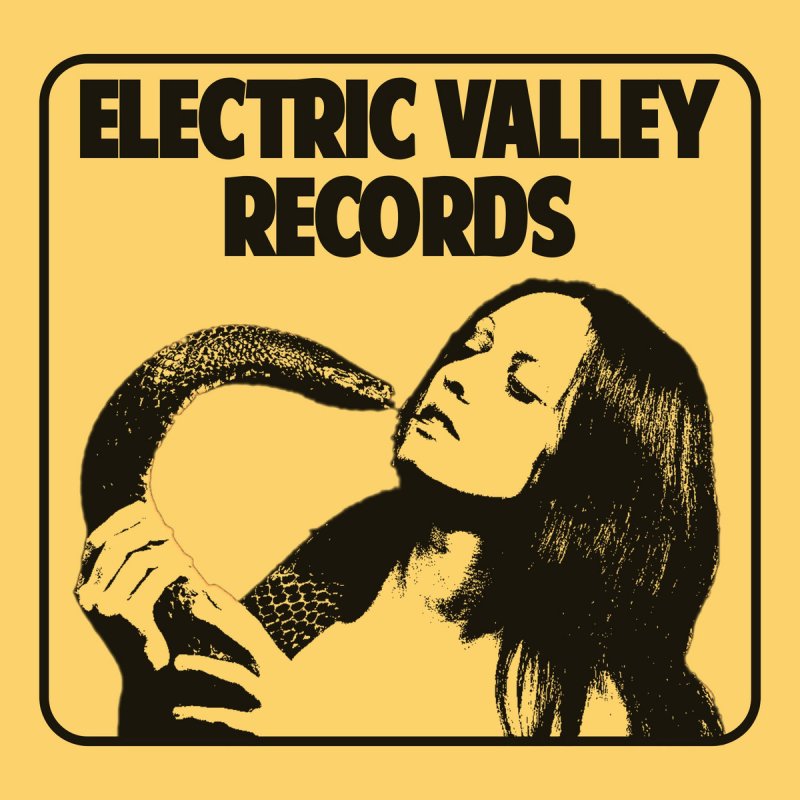 Electric Valley Records - Vol​.​2 - Free Download!