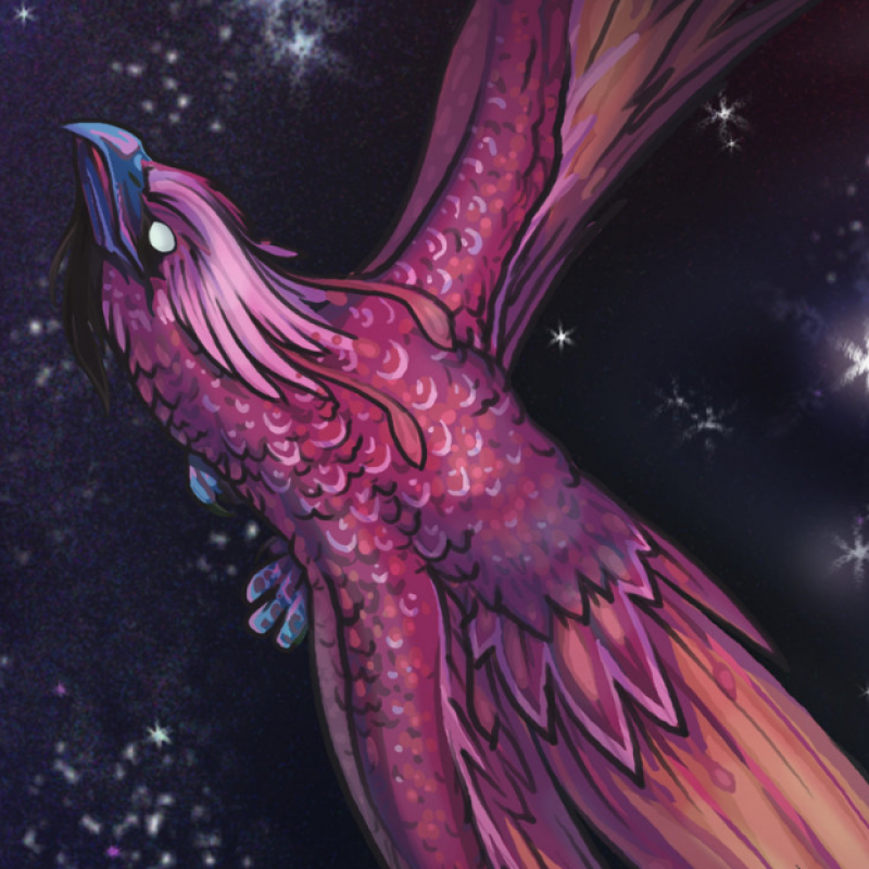 Check Out Kadima's Latest Album Release "All Birds Deserve to Fly"