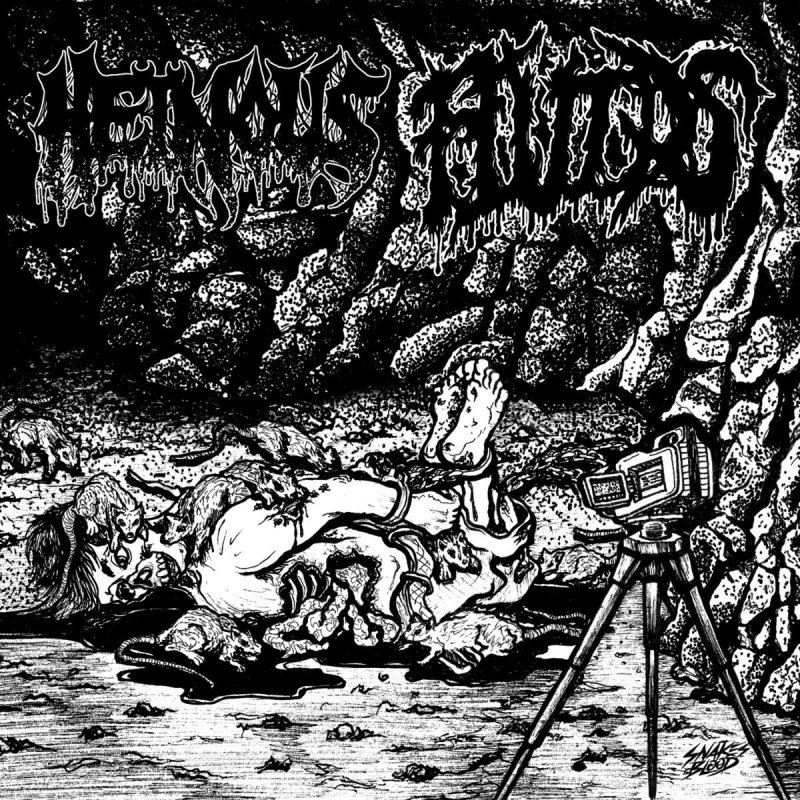 HEINOUS to release split with FLUIDS on Horror Pain Gore Death Productions; "Snuffed / Torture Euphoric" set for release on May 29th