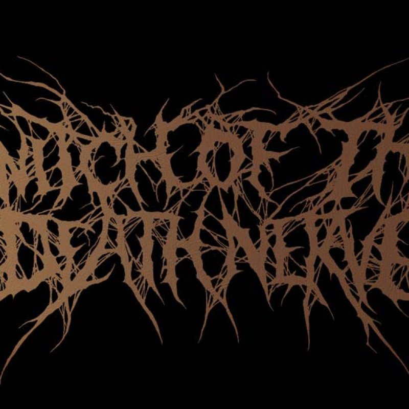 Twitch Of The Death Nerve stream live set of pro shot footage from Xxxapada Na Tromba Festival 2020