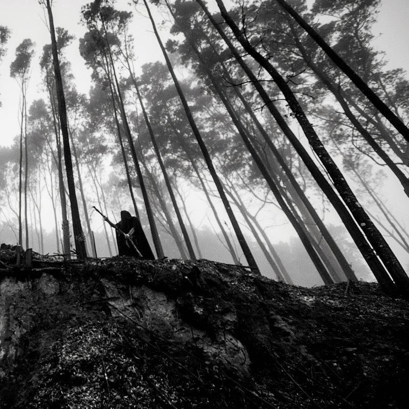 IRAE (PORTUGAL): new promo from SIGNAL REX