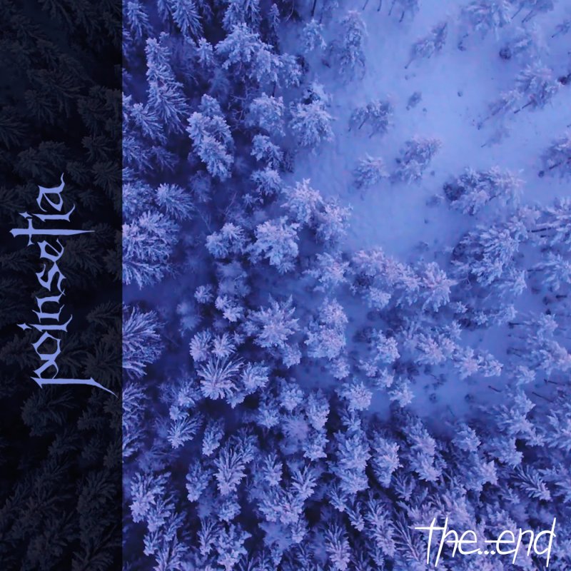 Poinsetia - The End [New Single]