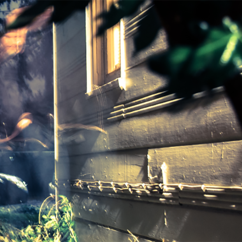 SNARES OF SIXES: Project Of Agalloch's Jason Walton To Release New Album Via Nefarious Industries And Transcending Records; Trailer Posted
