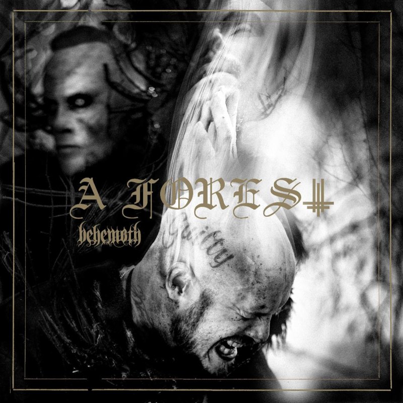 Behemoth announces new EP, 'A Forest'; launches video for title track (featuring guest vocals by Shining's Niklas Kvarforth)