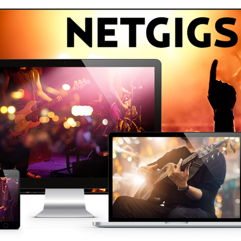 The introduction you need to Netgigs!
