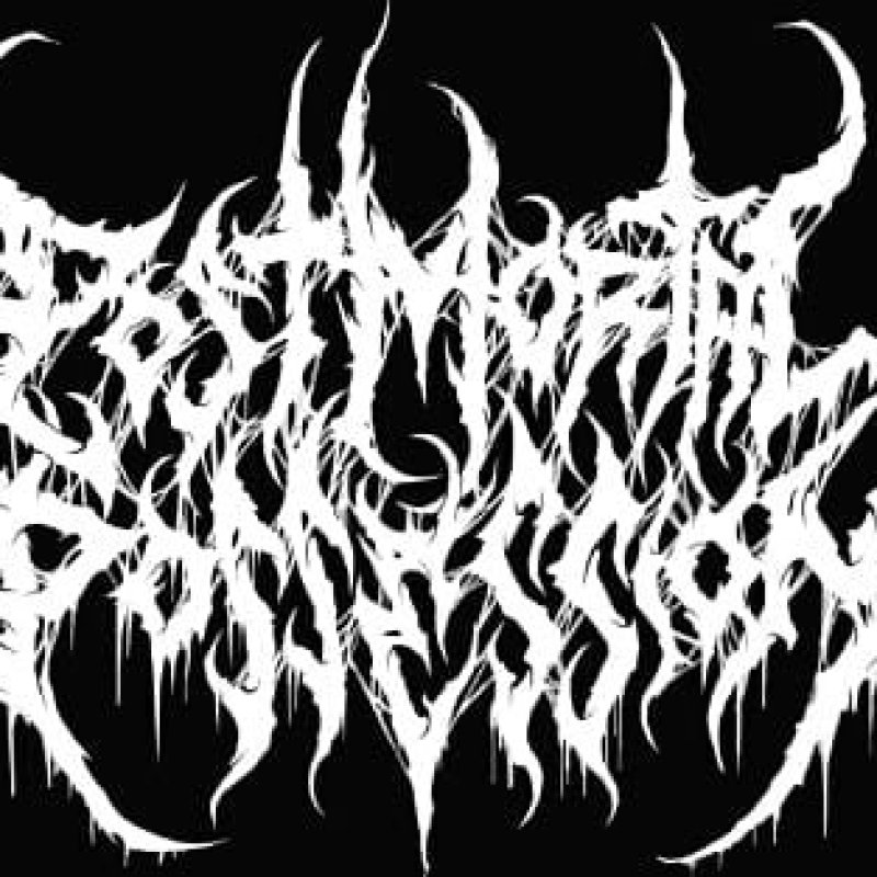 New Music: Catacombs of Bedlam by Post Mortal Possession