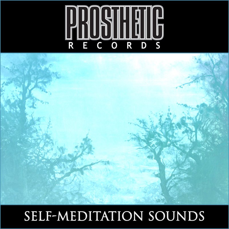SELF​-​MEDITATION SOUNDS by Prosthetic Records