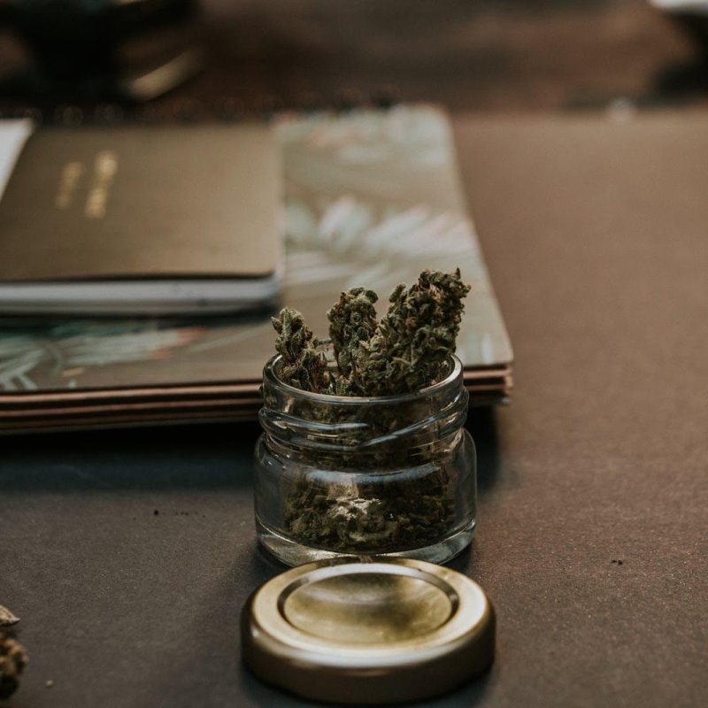 5 Exciting Facts You Should Know About Cannabis 