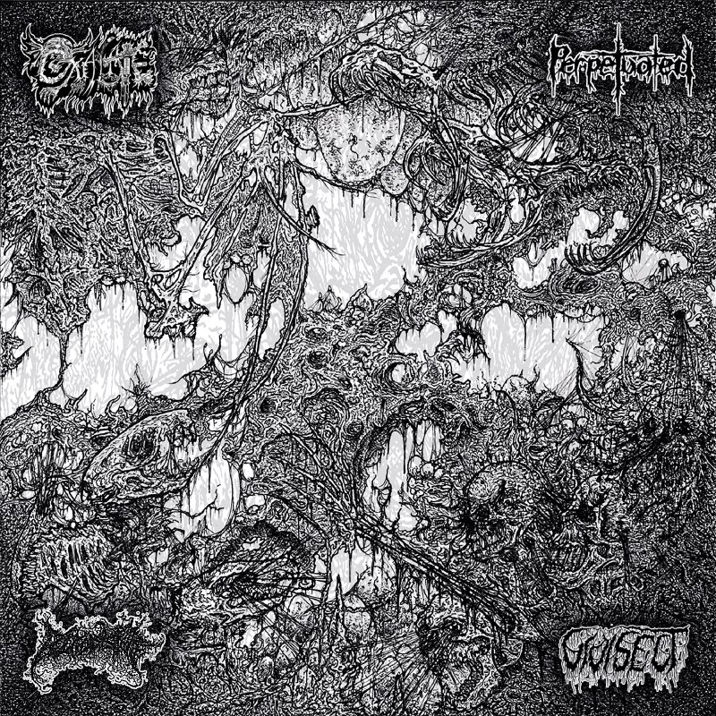 BLOOD HARVEST to release USDM 4-way split featuring OXALATE, PERPETUATED, BLOOD SPORE, and VIVISECT