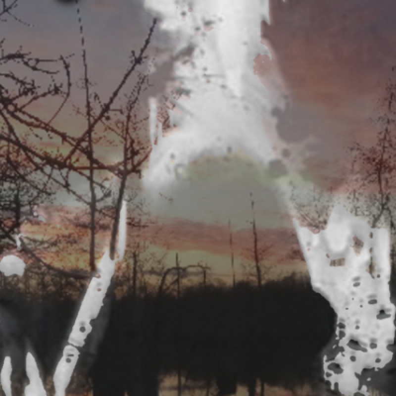 Ba'alzamon - “A Desolate Place” Reviewed By WOM