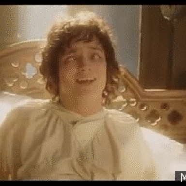 frodo
