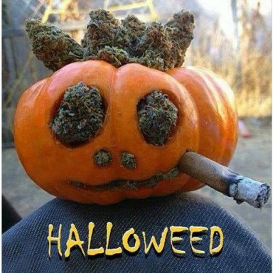 pumpkin spiced