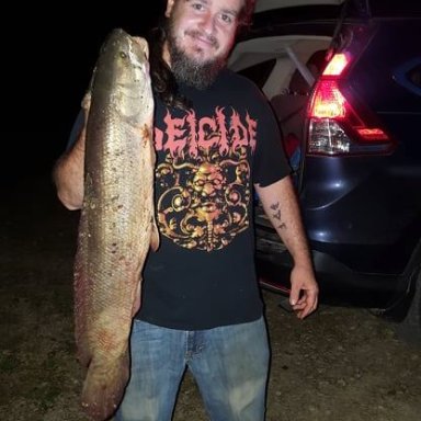 bowfin