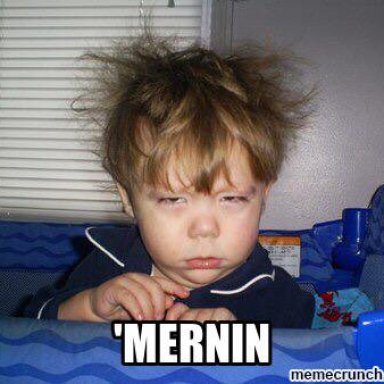 Gerd Mernin