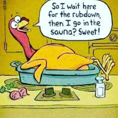 turkey4